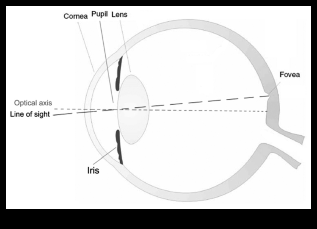 Focus Frontier: Depășirea limitelor cu lentile de ultimă generație