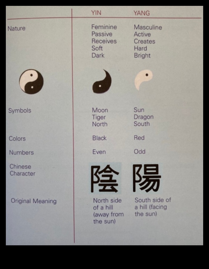 Forma și funcție: elemente de echilibrare în estetica arhitecturală