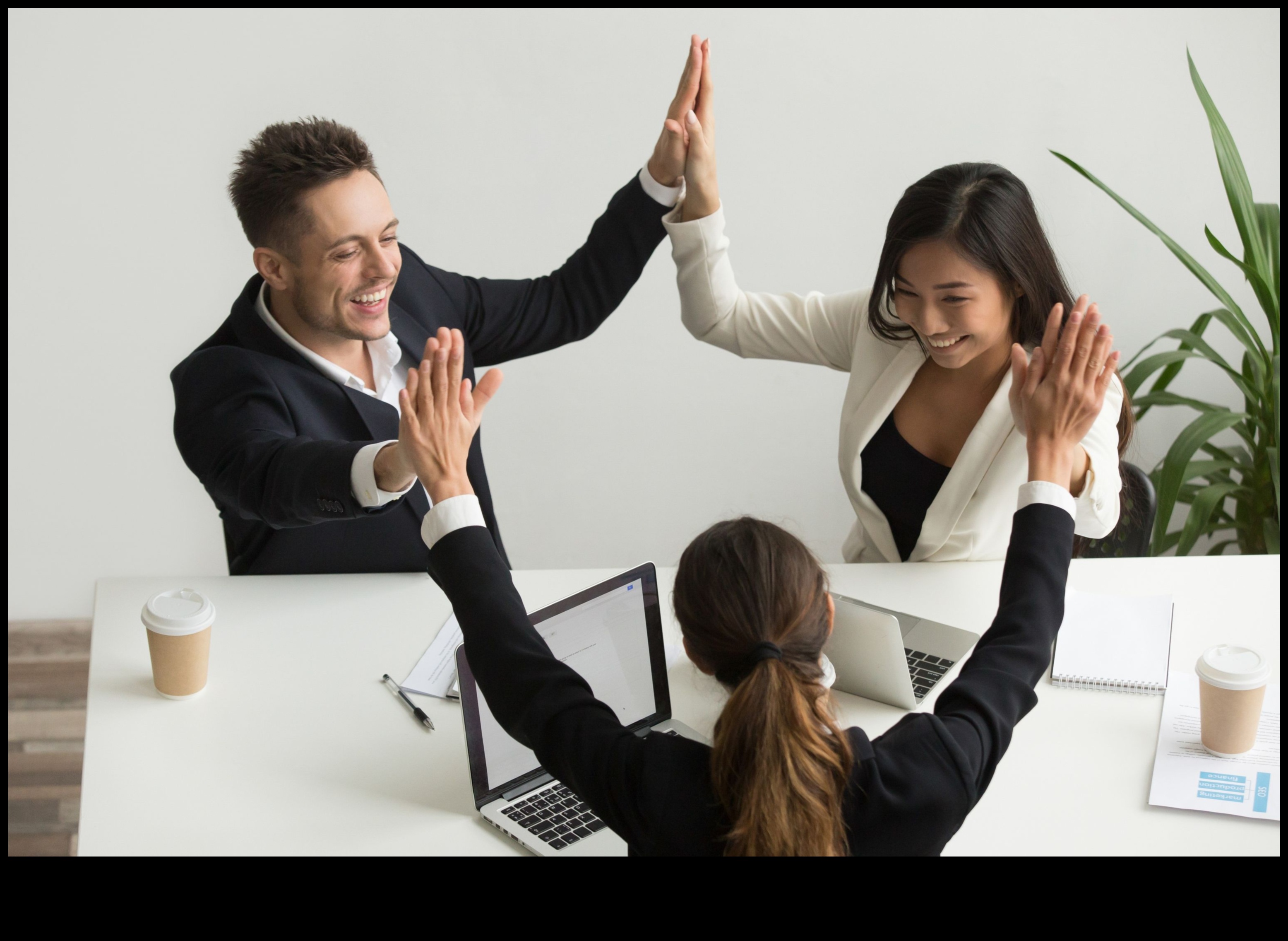 De la viziune la valoare Cum marii lideri conduc succesul în afaceri 2 De la viziune la valoare: dezlănțuirea puterii leadership-ului în afaceri