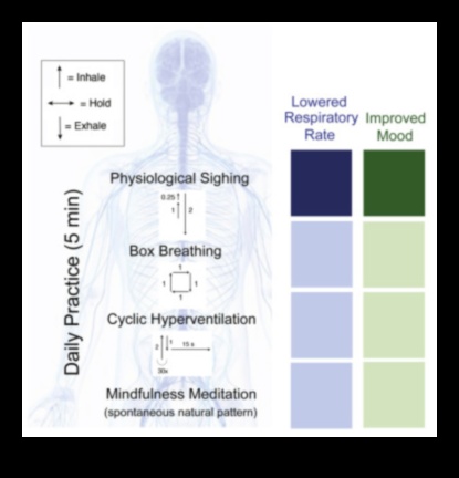 Respirați ușor O abordare centrată pe respirație pentru cultivarea unor tehnici eficiente de reducere a stresului 3 Respirați ușor: o abordare centrată pe respirație pentru cultivarea unor tehnici eficiente de ameliorare a stresului