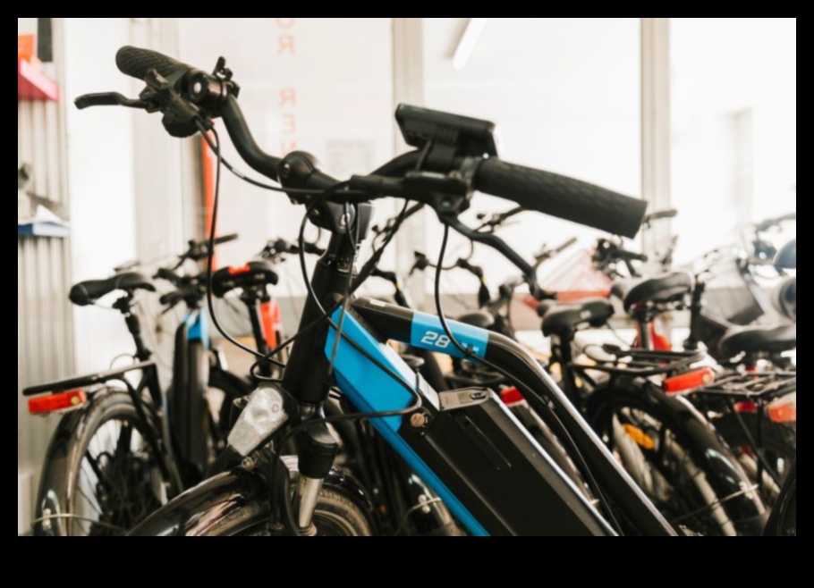 Bicicletă dincolo de O privire asupra viitorului ciclismului 3 Bike Beyond: Explorând viitorul bicicletelor