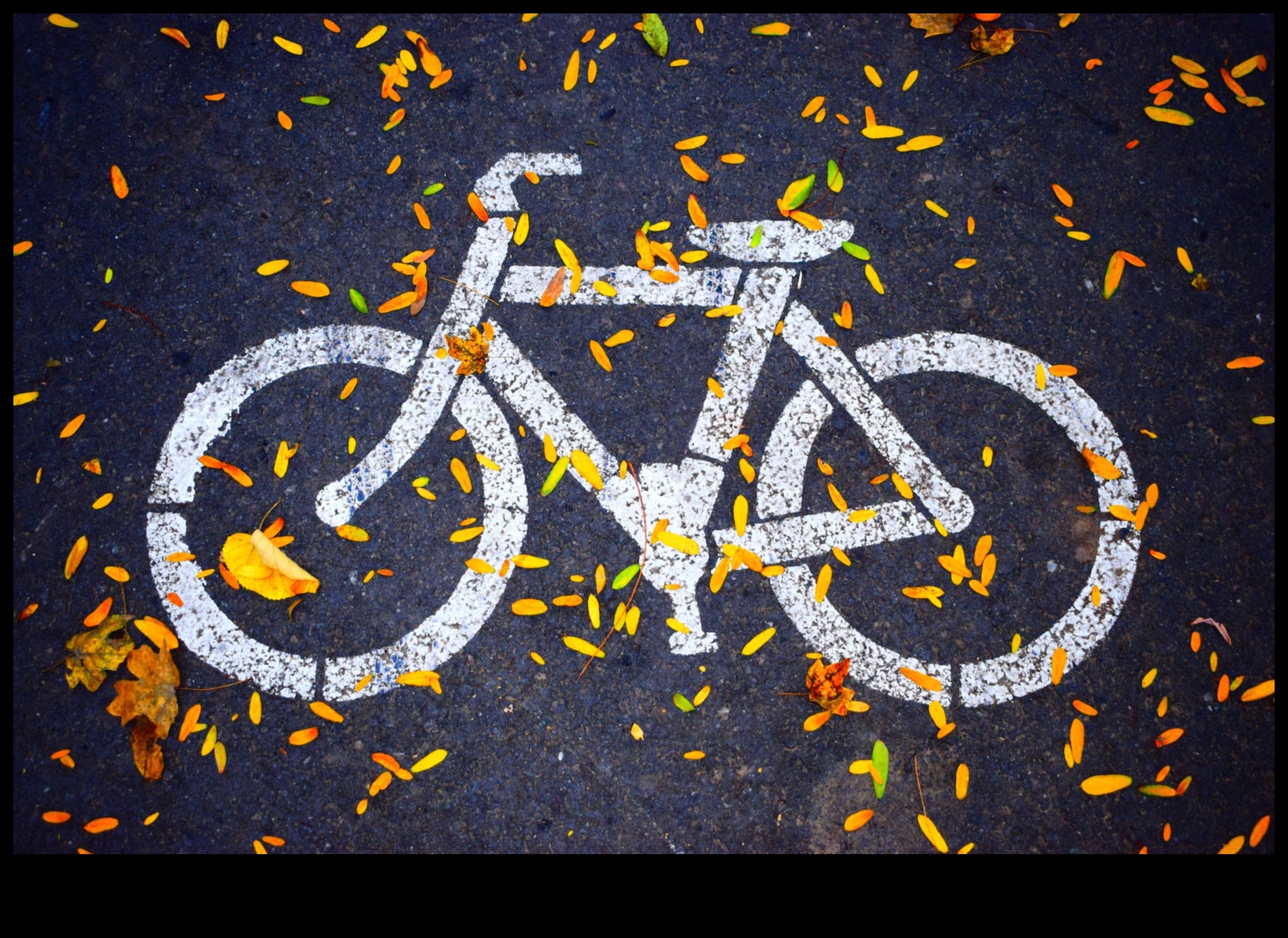 Bicicletă dincolo de O privire asupra viitorului ciclismului 4 Bike Beyond: Explorând viitorul bicicletelor