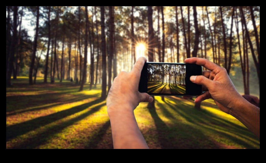 Captură perfecțiunea Descoperă secretele pentru a realiza fotografii grozave 4 Capture Perfection: Sfaturi esențiale de fotografie dezvăluite