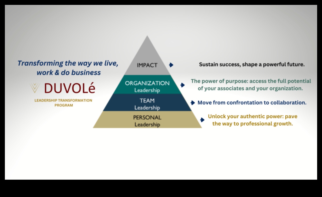 Excelența în leadership dezlănțuind puterea leadershipului strategic în afaceri pentru a obține o creștere durabilă 4 Excelență în leadership: dezlănțuirea puterii leadershipului strategic în afaceri