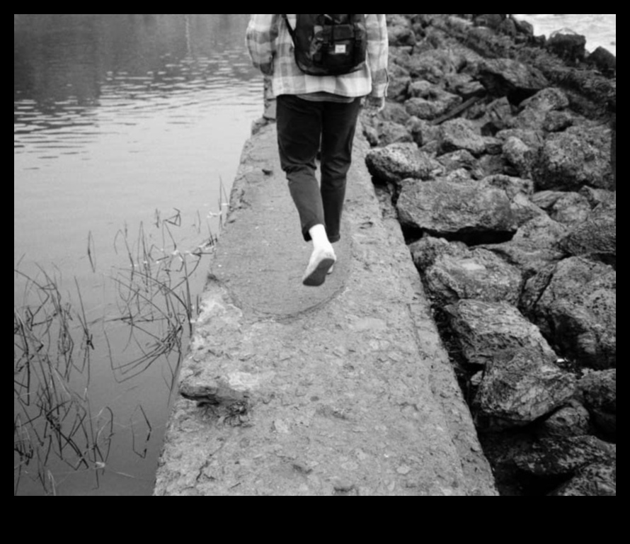 Concentrați-vă pe perfecțiune: ascuțiți-vă manualul de fotografie acum