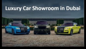 Călărie în opulență: povești personale de la pasionații de vehicule de lux