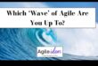 Riding the Wave: Strategii pentru practici de afaceri etice agile