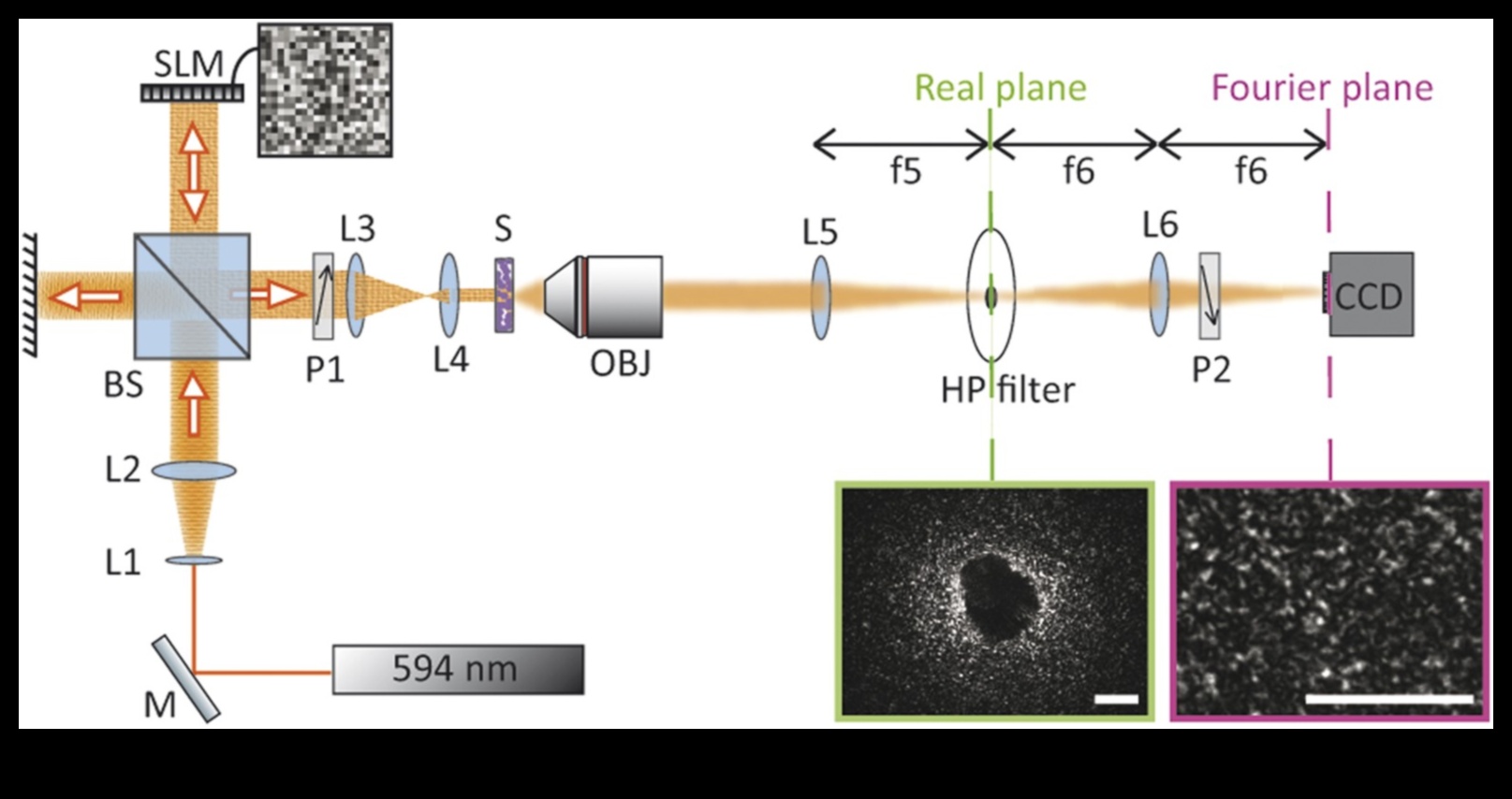Focus Frontier: Depășirea limitelor cu lentile de ultimă generație