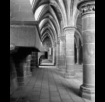 Grandoarea gotică dezvăluită: o călătorie în fotografia de arhitectură