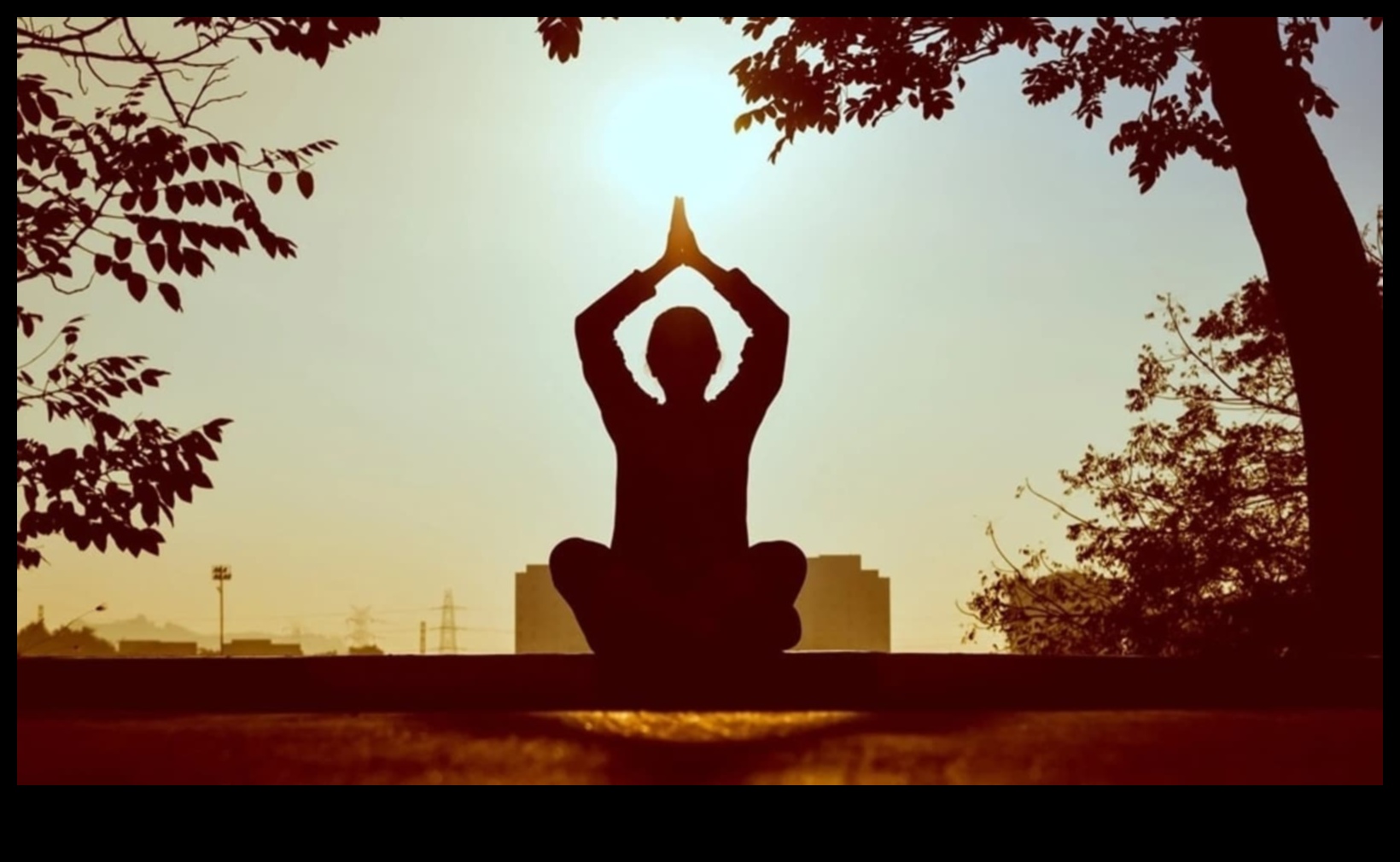 Mindfulness Minds: Explorarea efectelor pozitive ale meditației